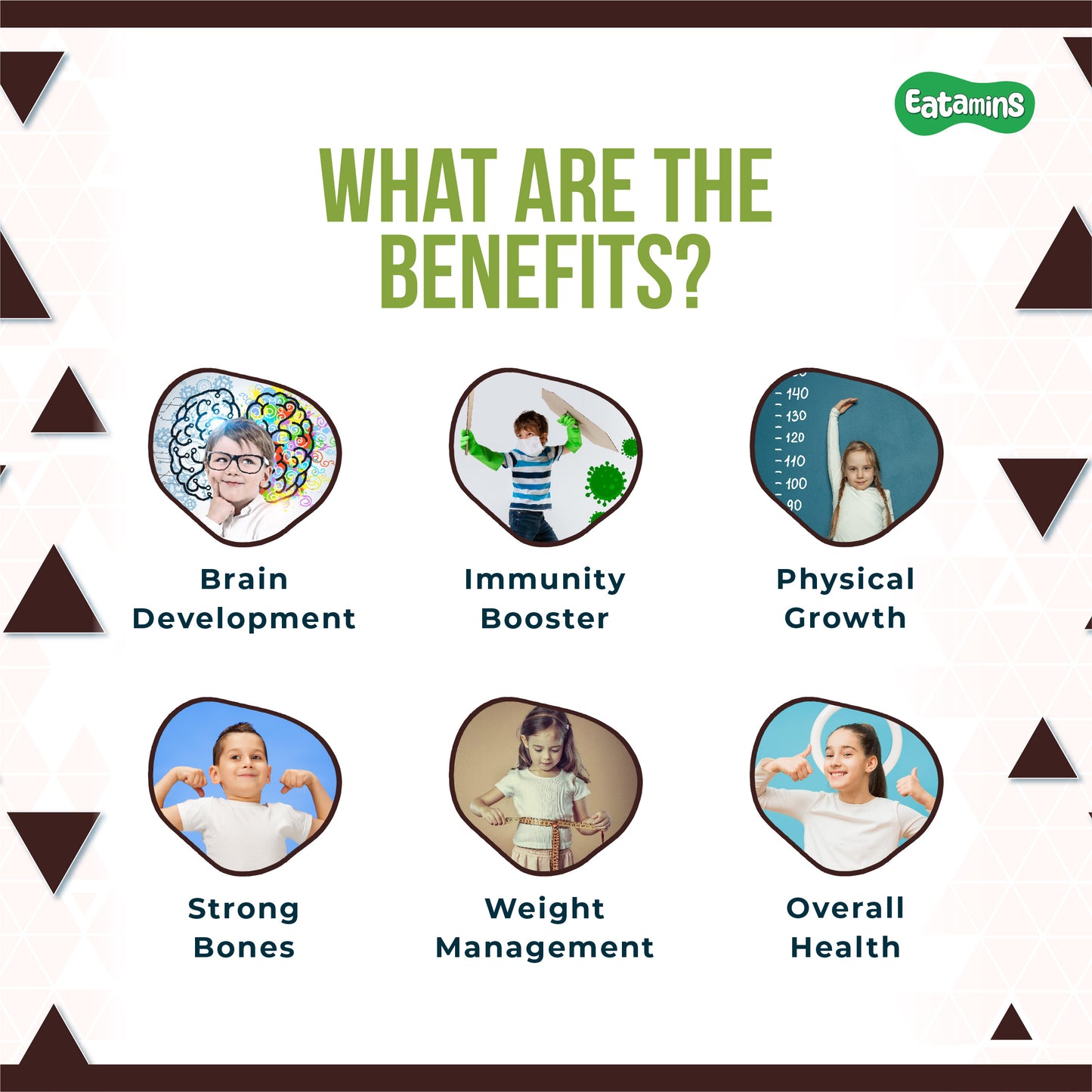 protein powder for brain health